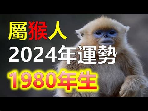 84年次屬什麼|線上十二生肖年齡計算器，輸入出生年月日即可查詢生肖及運勢